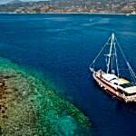 Bodrum Turgutreis Tekne Turları
