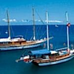 Bodrum Tekne Turu