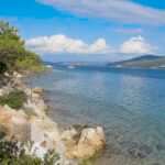 Bodrum Torba Tekne Turu